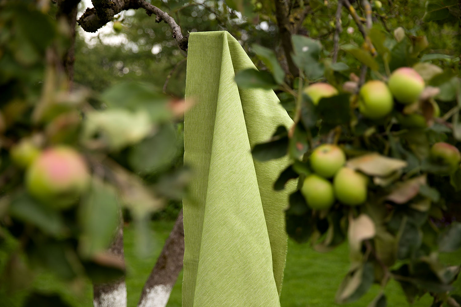 aadhi textured fabric