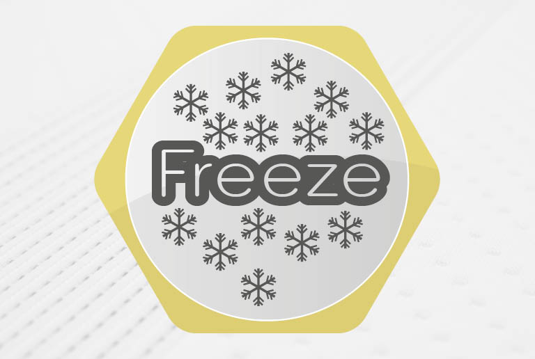 freeze logo