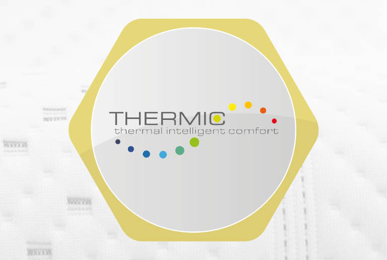 thermic logo