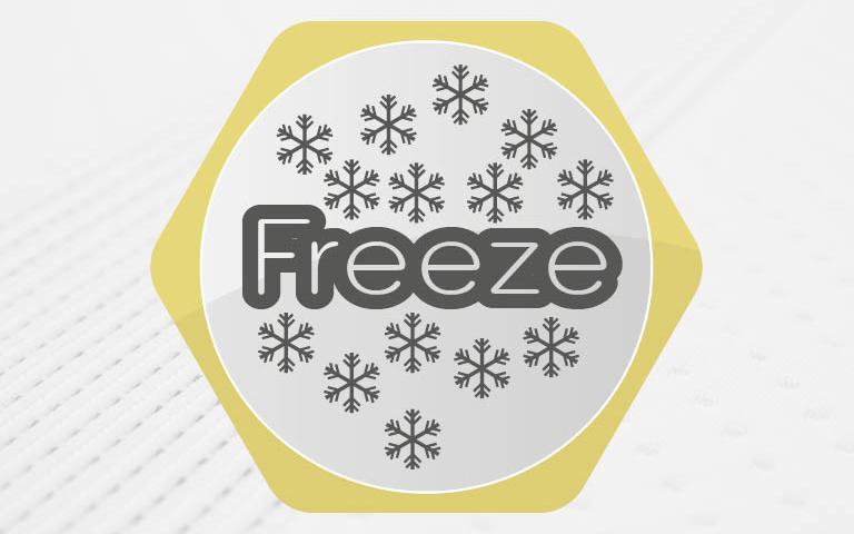 freeze logo