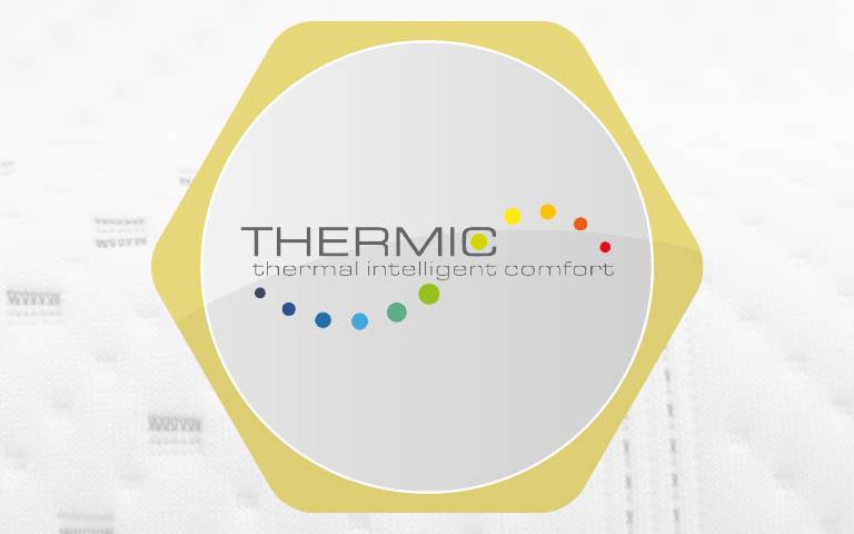 thermic logo